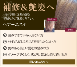 ヘアーエステ